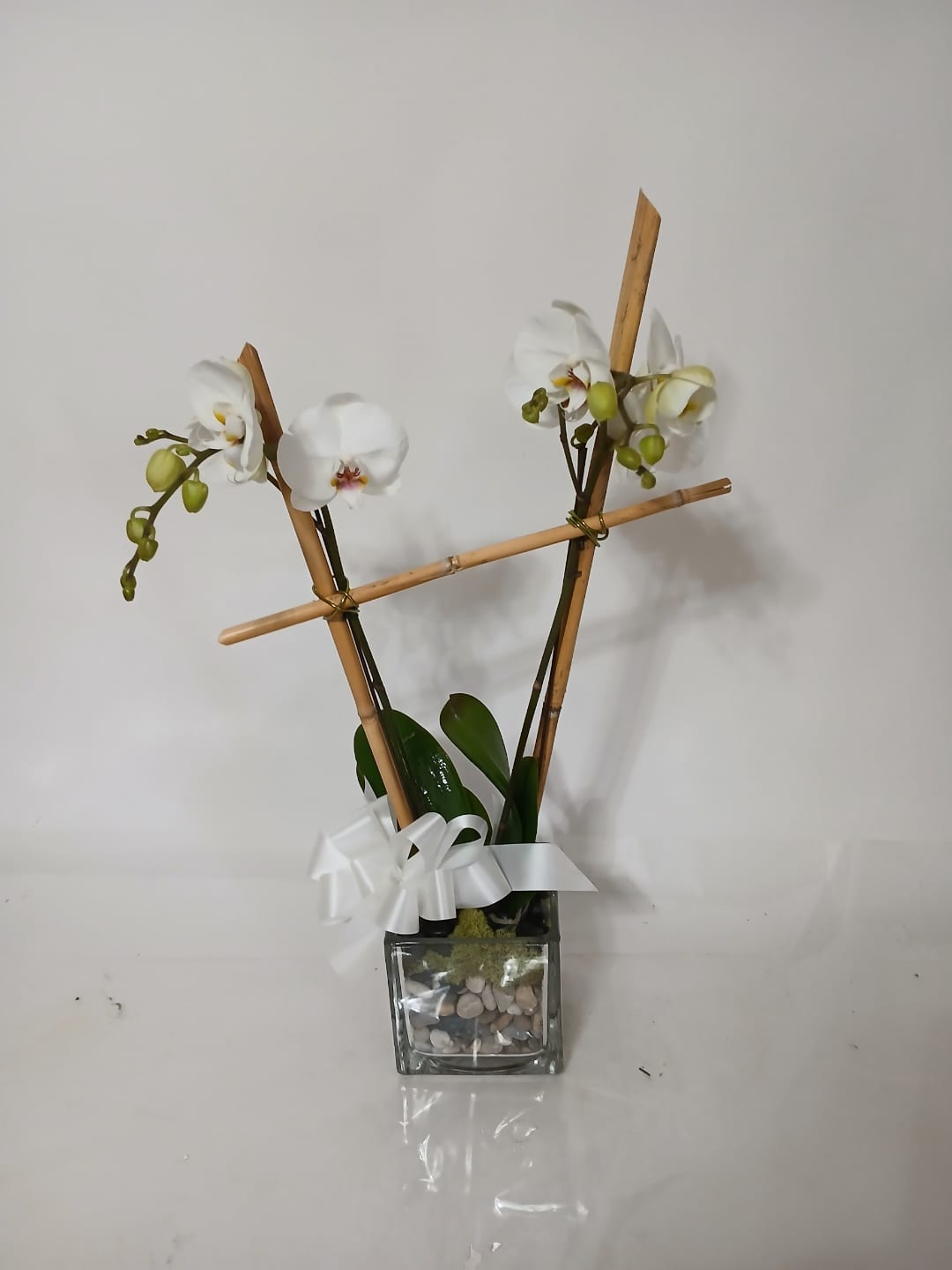 Blooming and green plant gift 13 from Fredericksburg Florist
