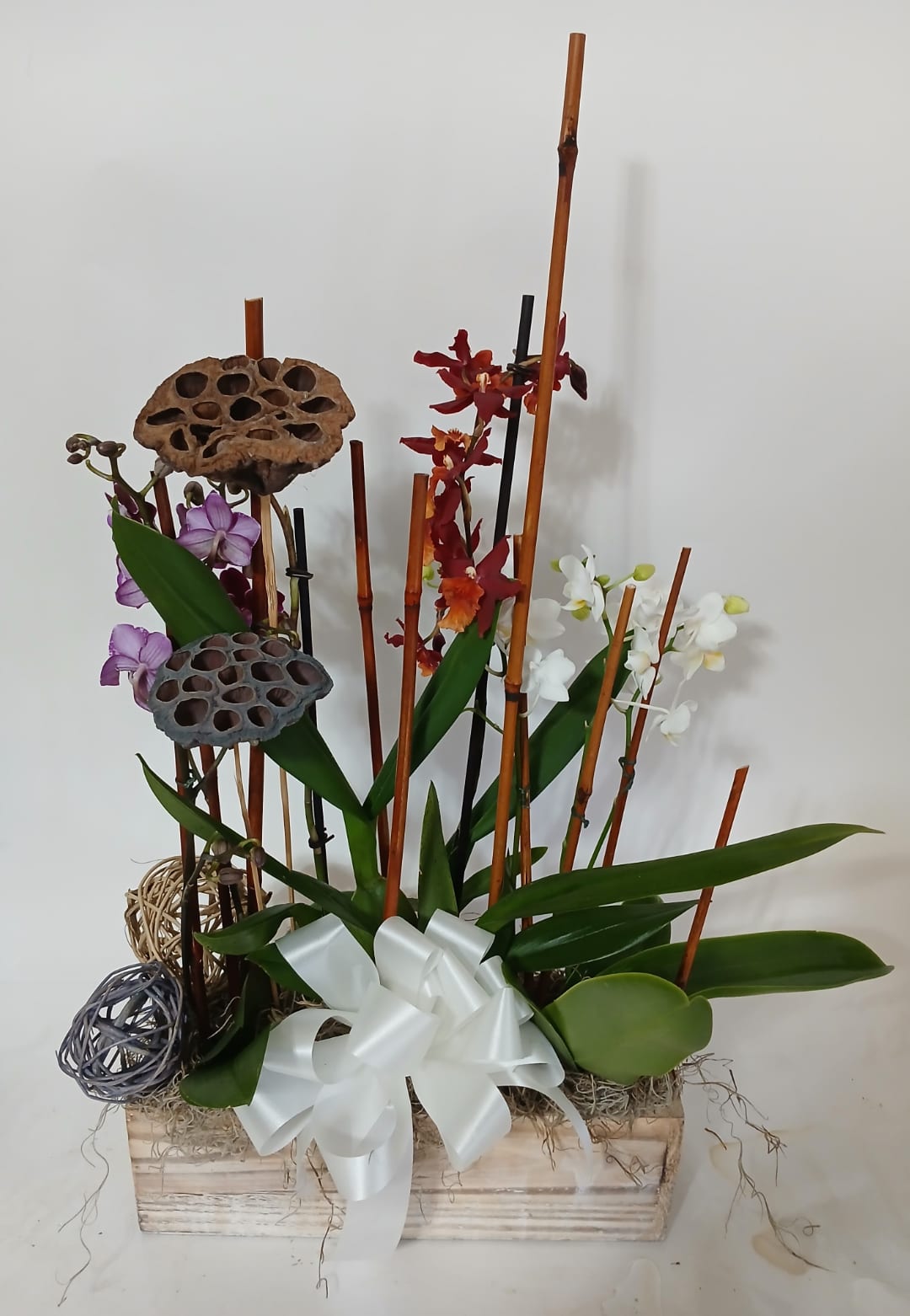 Blooming and green plant gift 16 from Fredericksburg Florist